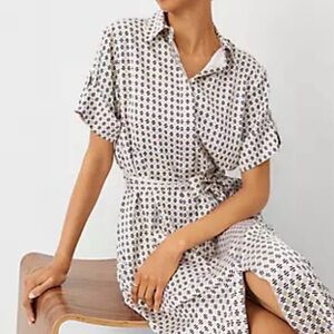 Ann Taylor Patterned Dress